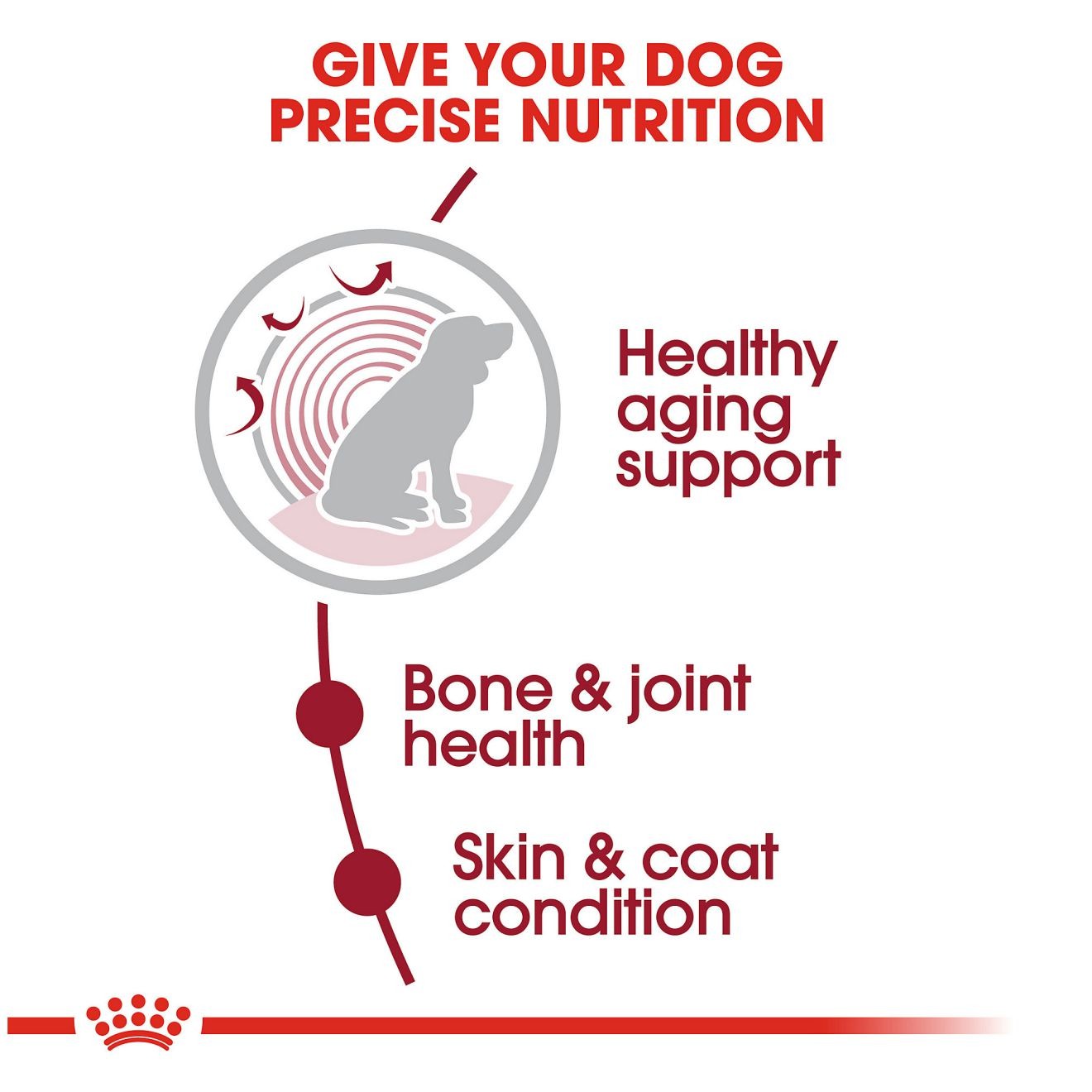 30lb Royal Canin Medium Aging 10+ Dry Dog Food UAE | 5249-OGLSD
