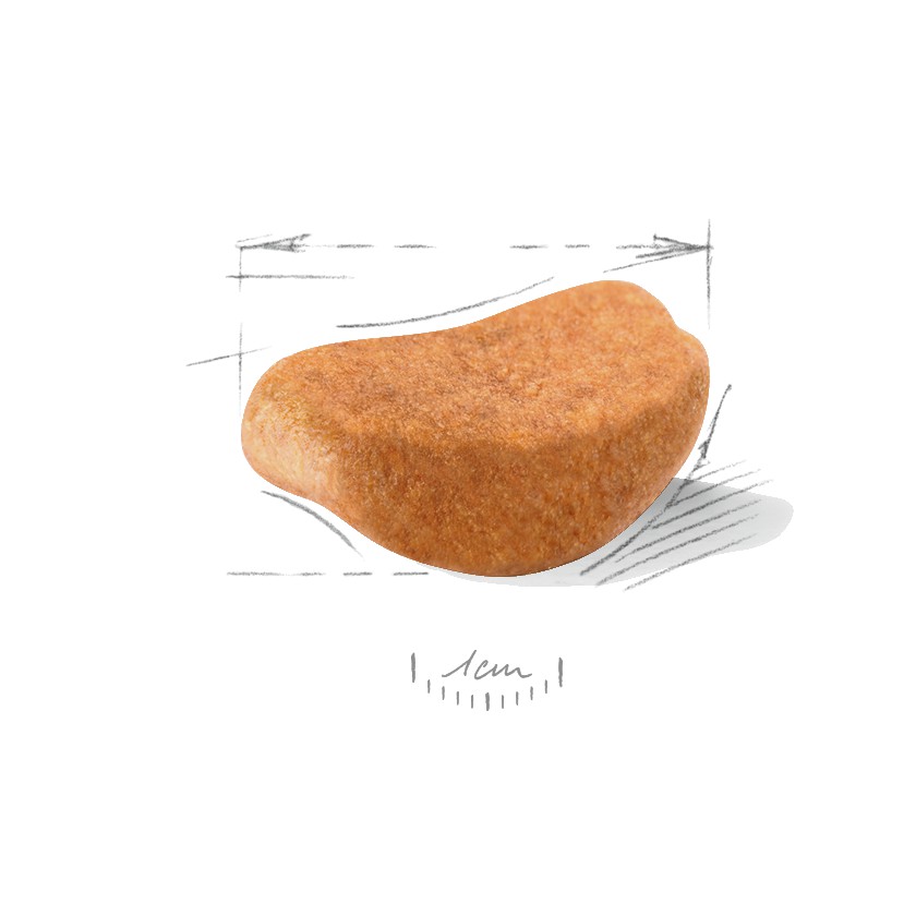 30lb Royal Canin Rottweiler Adult Dry Dog Food UAE | 6137-ZLKJO