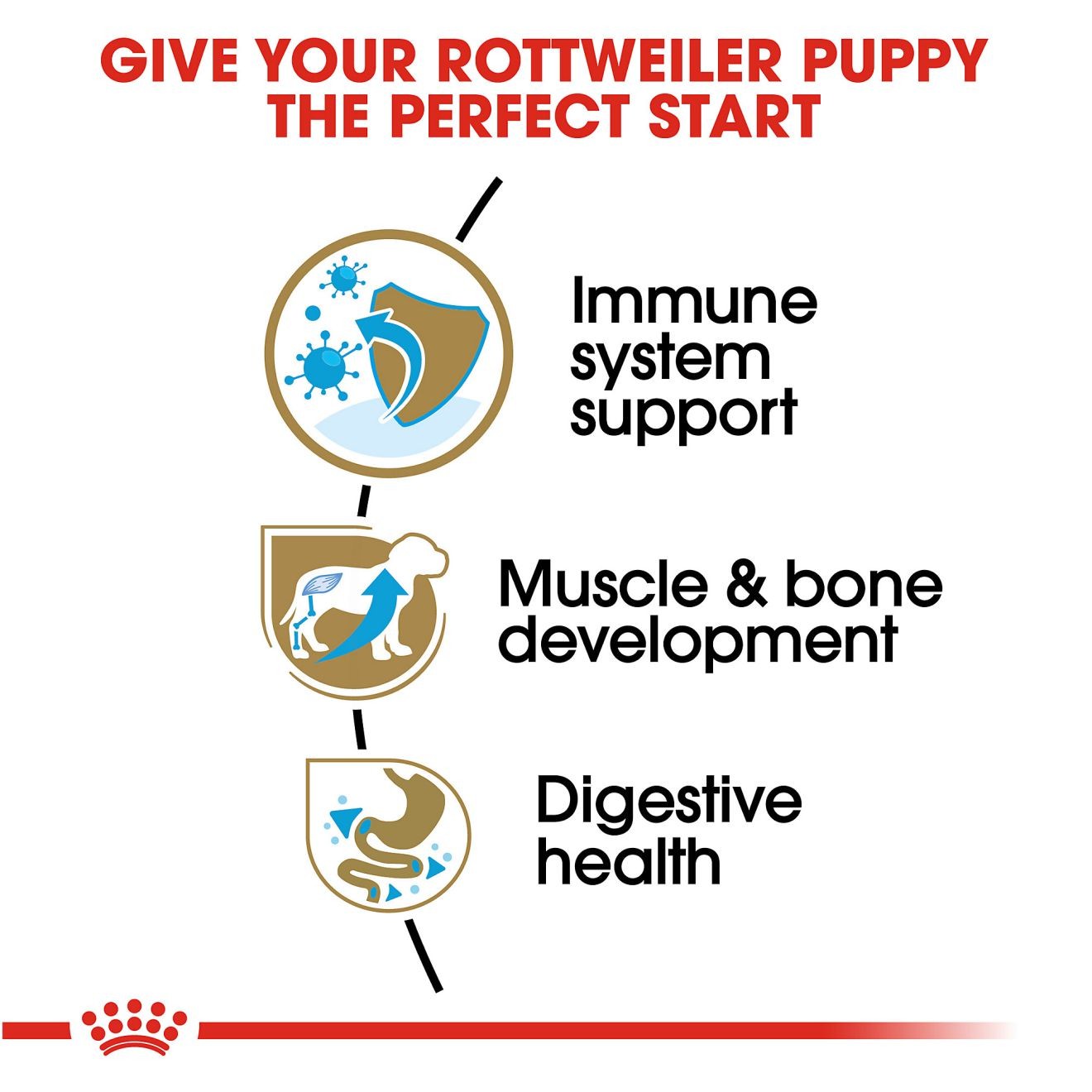30lb Royal Canin Rottweiler Puppy Dry Dog Food UAE | 3075-ERIWP