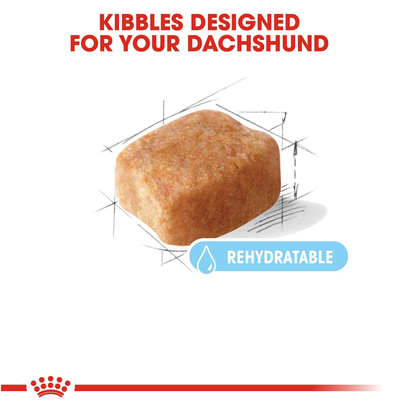 3lb Royal Canin Dachshund 8+ Adult Dry Dog Food UAE | 3985-BWXTE
