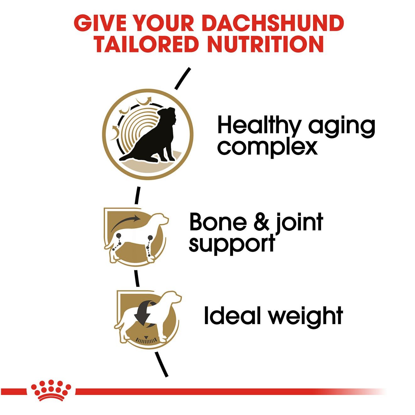 3lb Royal Canin Dachshund 8+ Adult Dry Dog Food UAE | 3985-BWXTE