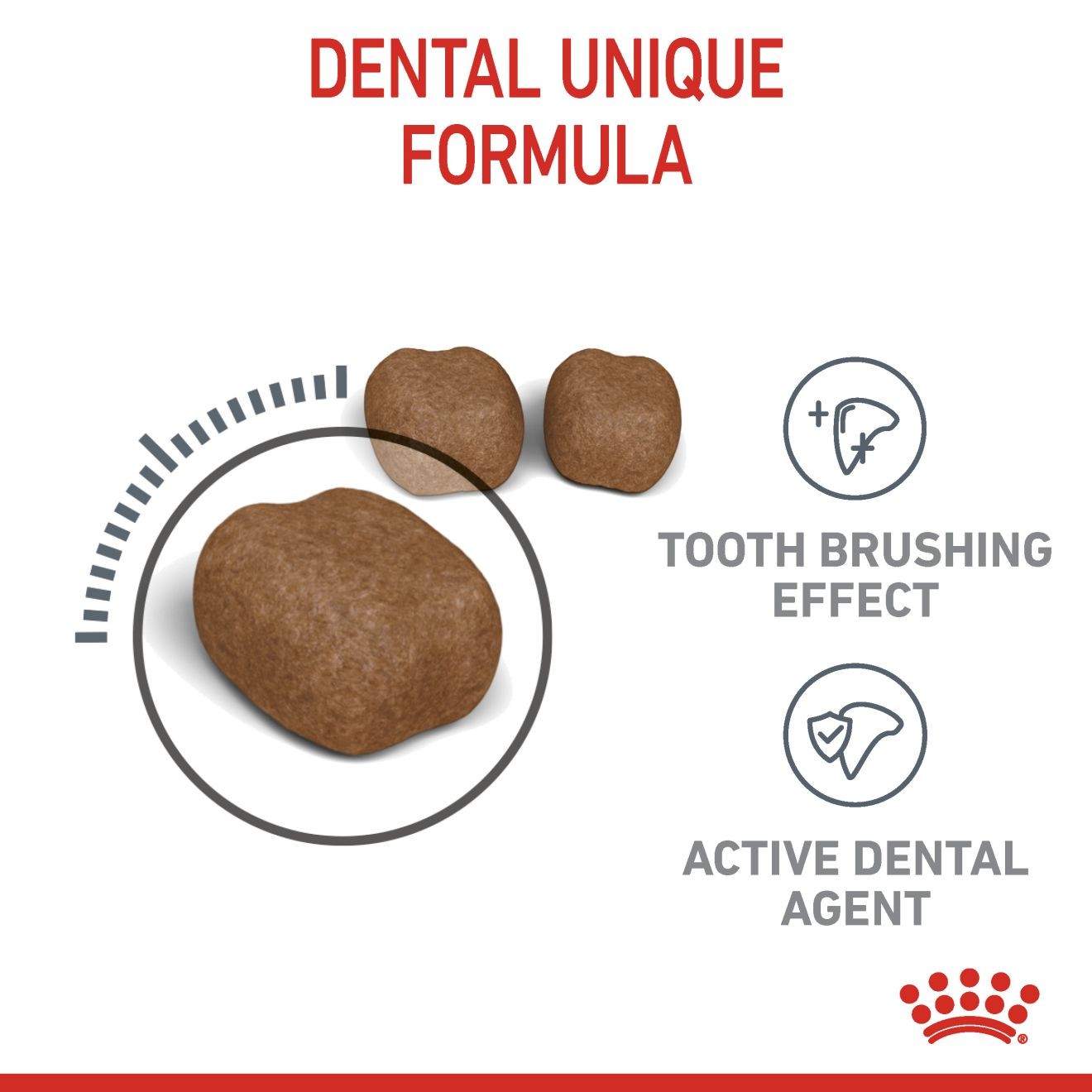 3lb Royal Canin Dental Care Dry Cat Food UAE | 8092-OQNSC