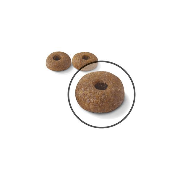 3lb Royal Canin Digestive Care Dry Cat Food UAE | 6538-GBVAO