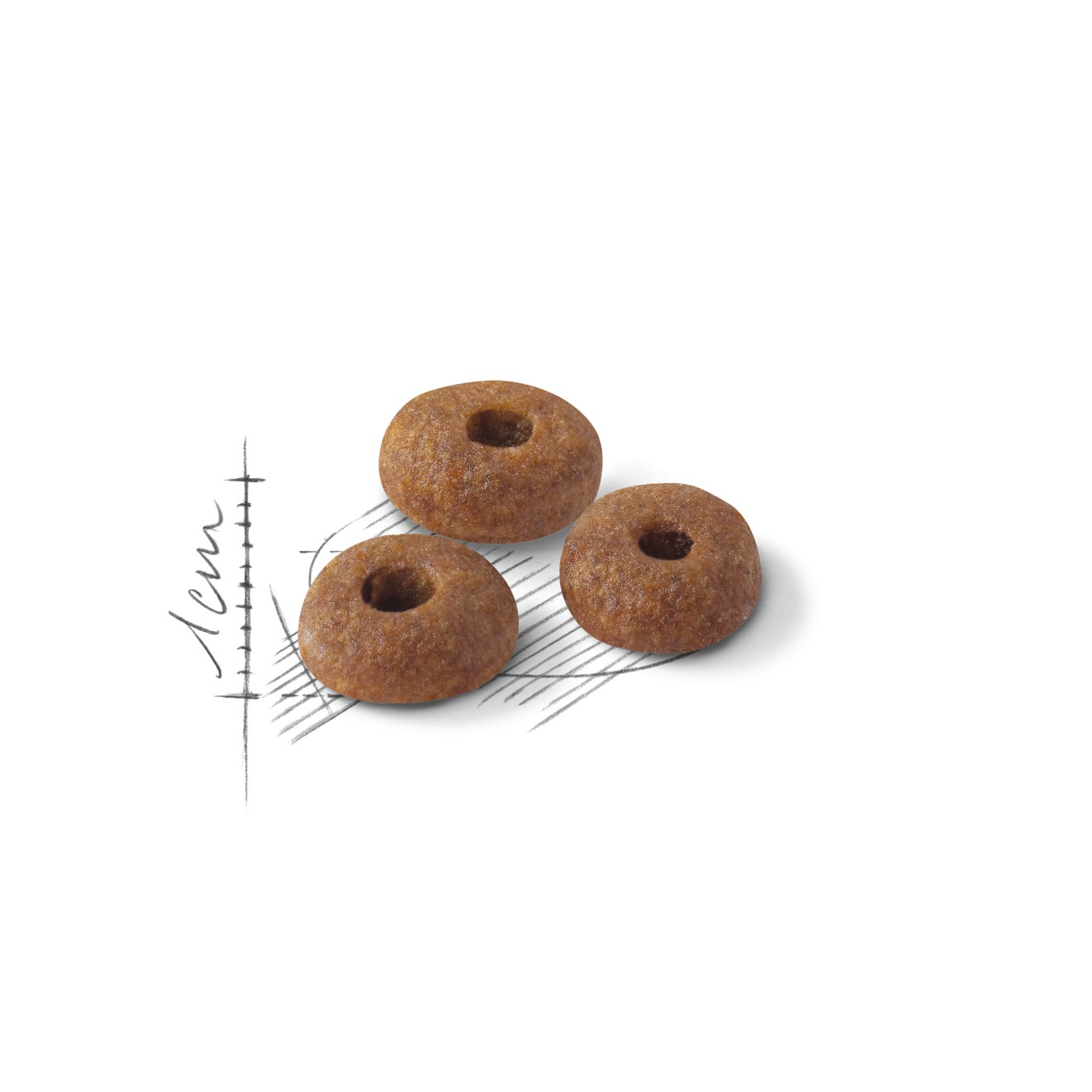 3lb Royal Canin Fit And Active Dry Cat Food UAE | 5964-EHJMV