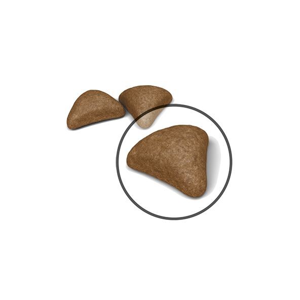3lb Royal Canin Hairball Care Dry Cat Food UAE | 9468-LSFXH