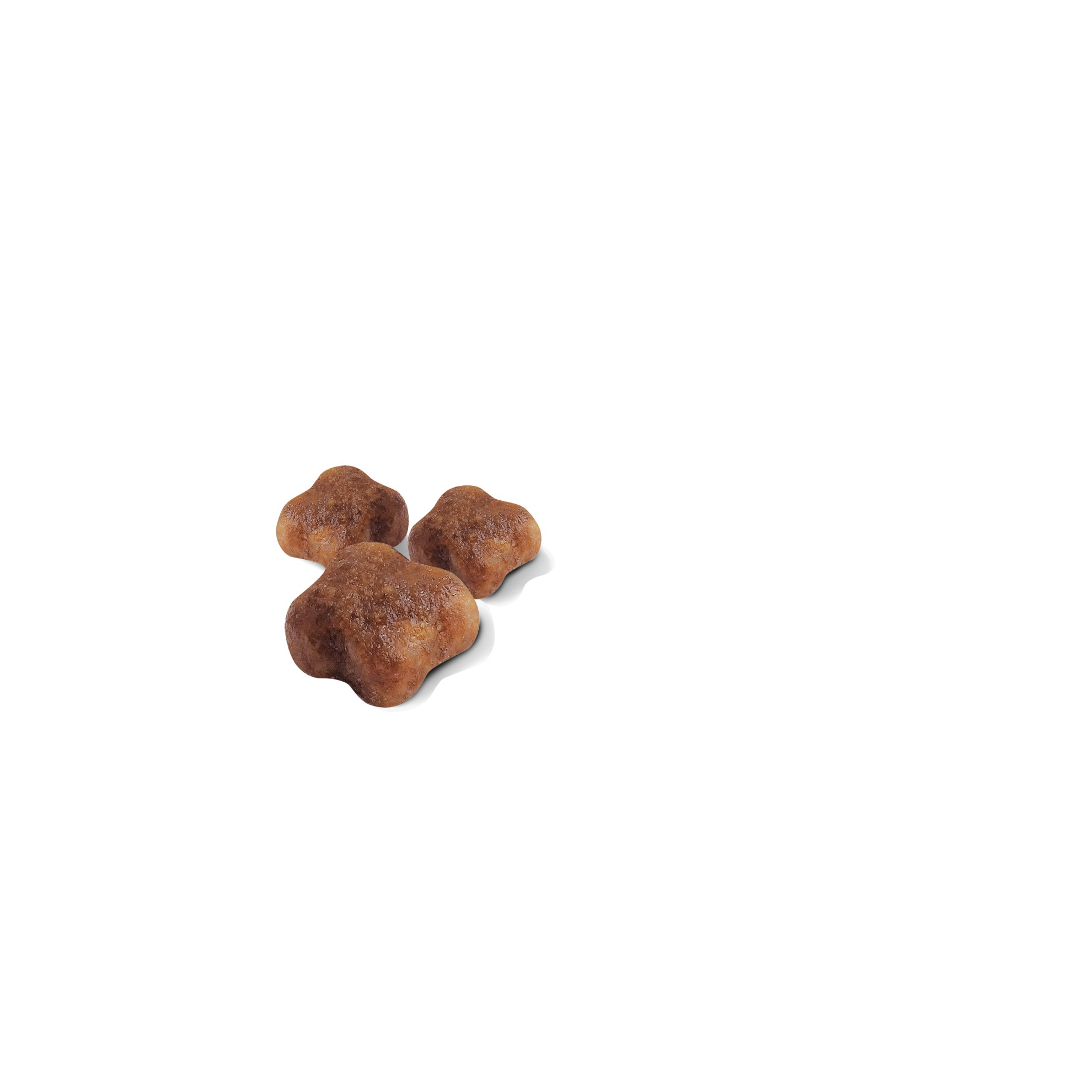 3lb Royal Canin Mother & Babycat Dry Cat Food UAE | 2837-SCZJK
