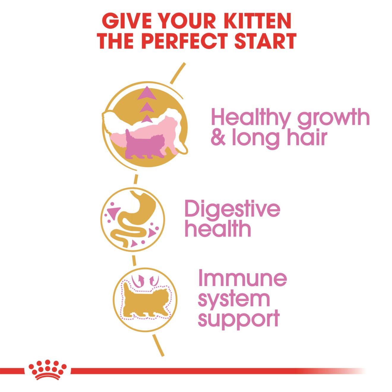 3lb Royal Canin Persian Kitten Dry Cat Food UAE | 5631-IXNKA