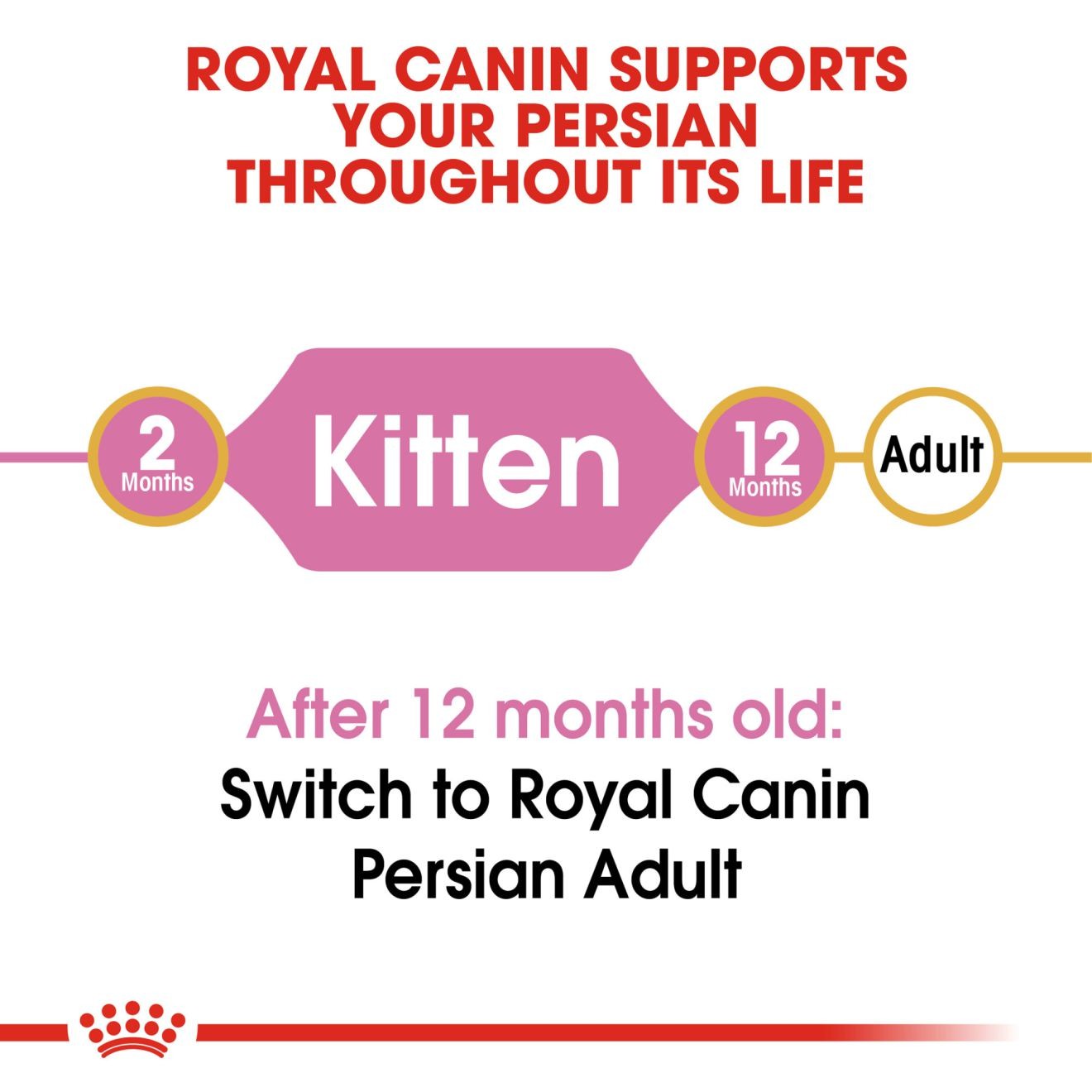 3lb Royal Canin Persian Kitten Dry Cat Food UAE | 5631-IXNKA