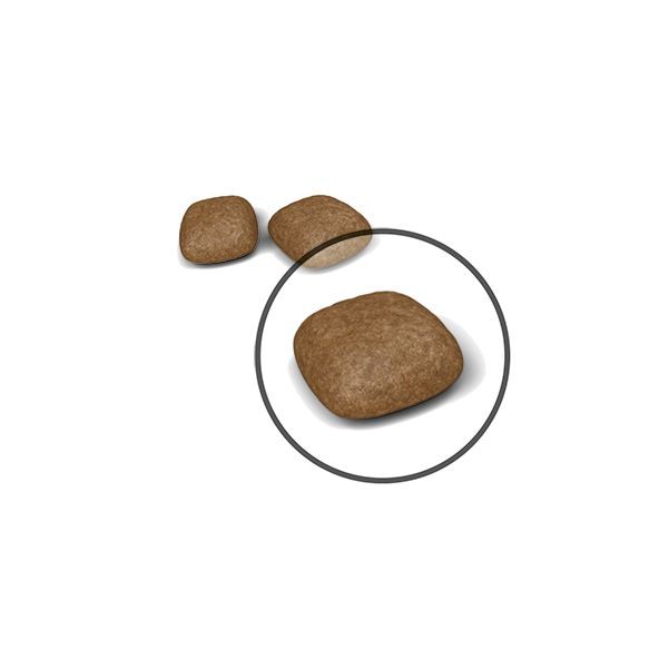 3lb Royal Canin Urinary Care Dry Cat Food UAE | 6023-WKTDU