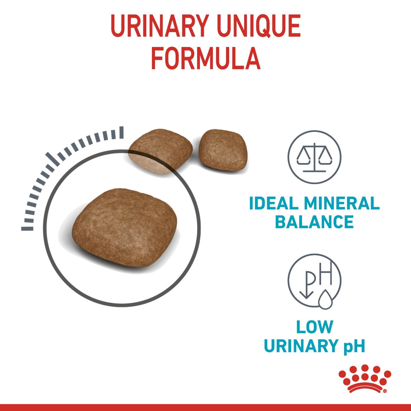 3lb Royal Canin Urinary Care Dry Cat Food UAE | 6023-WKTDU