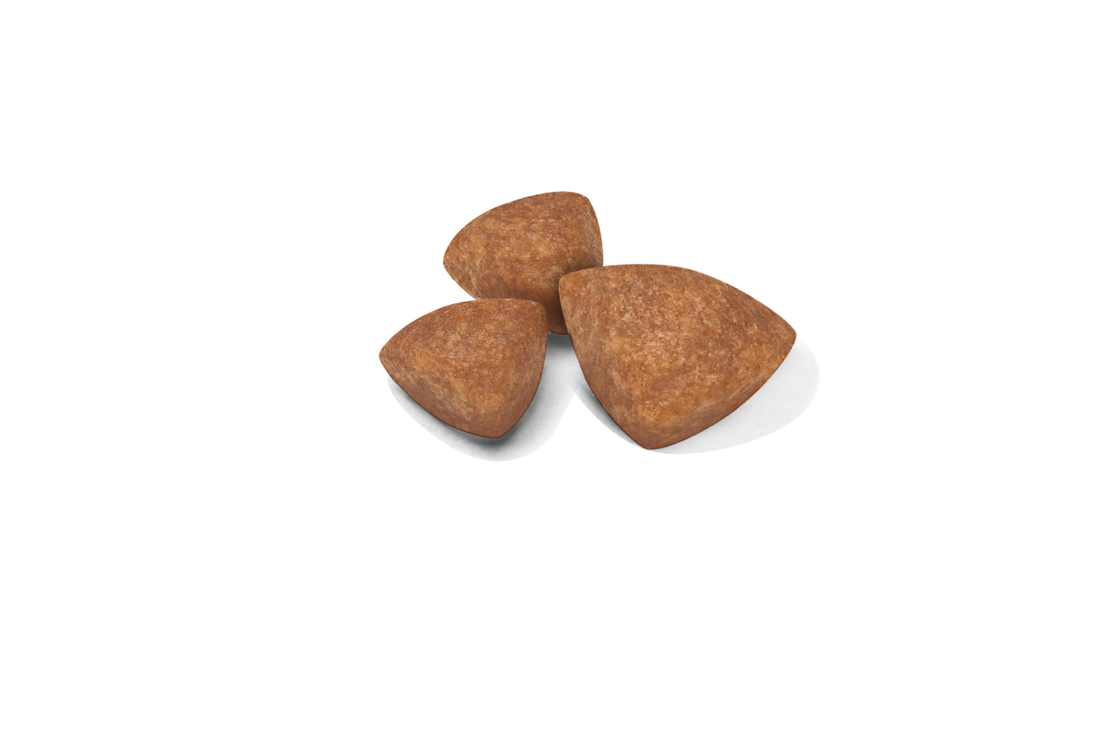 3lb Royal Canin X-Small Puppy Dry Dog Food UAE | 6071-NYFGX