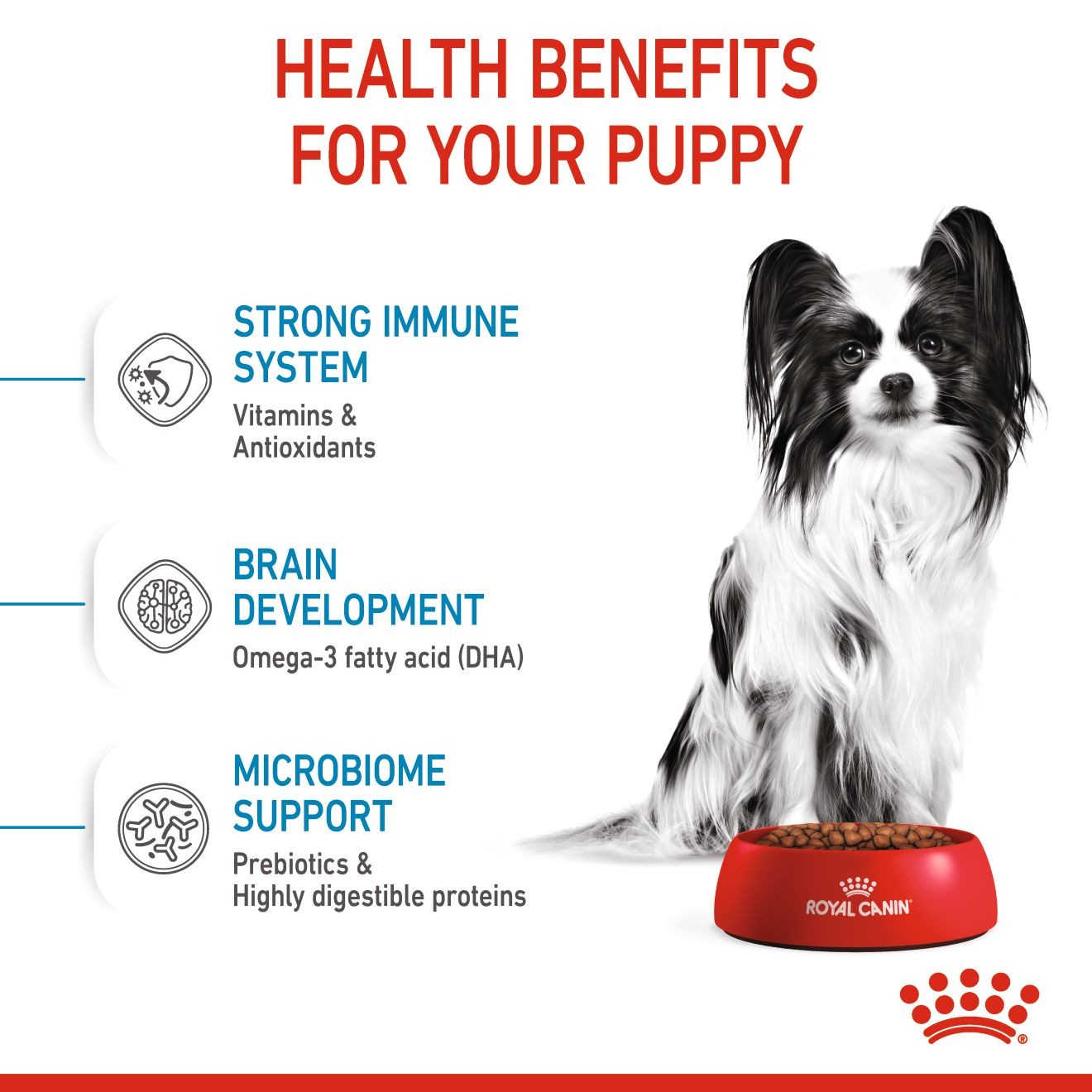 3lb Royal Canin X-Small Puppy Dry Dog Food UAE | 6071-NYFGX