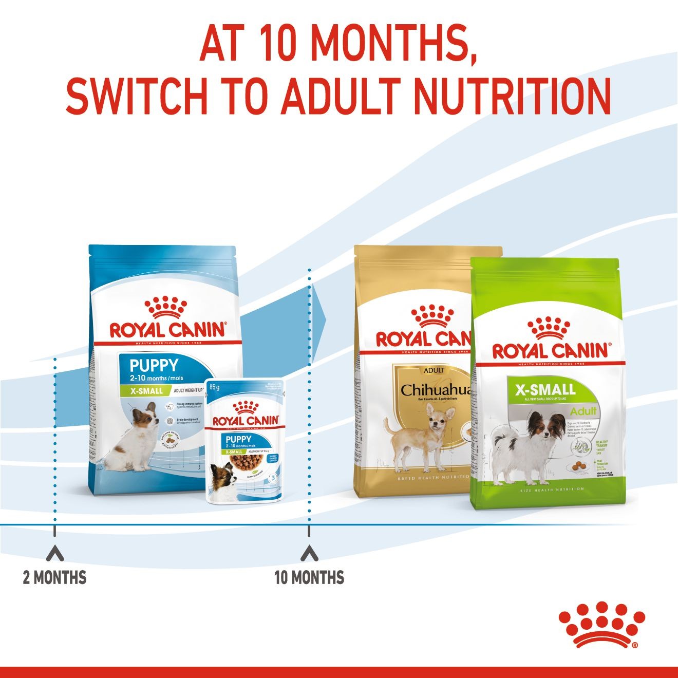 3lb Royal Canin X-Small Puppy Dry Dog Food UAE | 6071-NYFGX