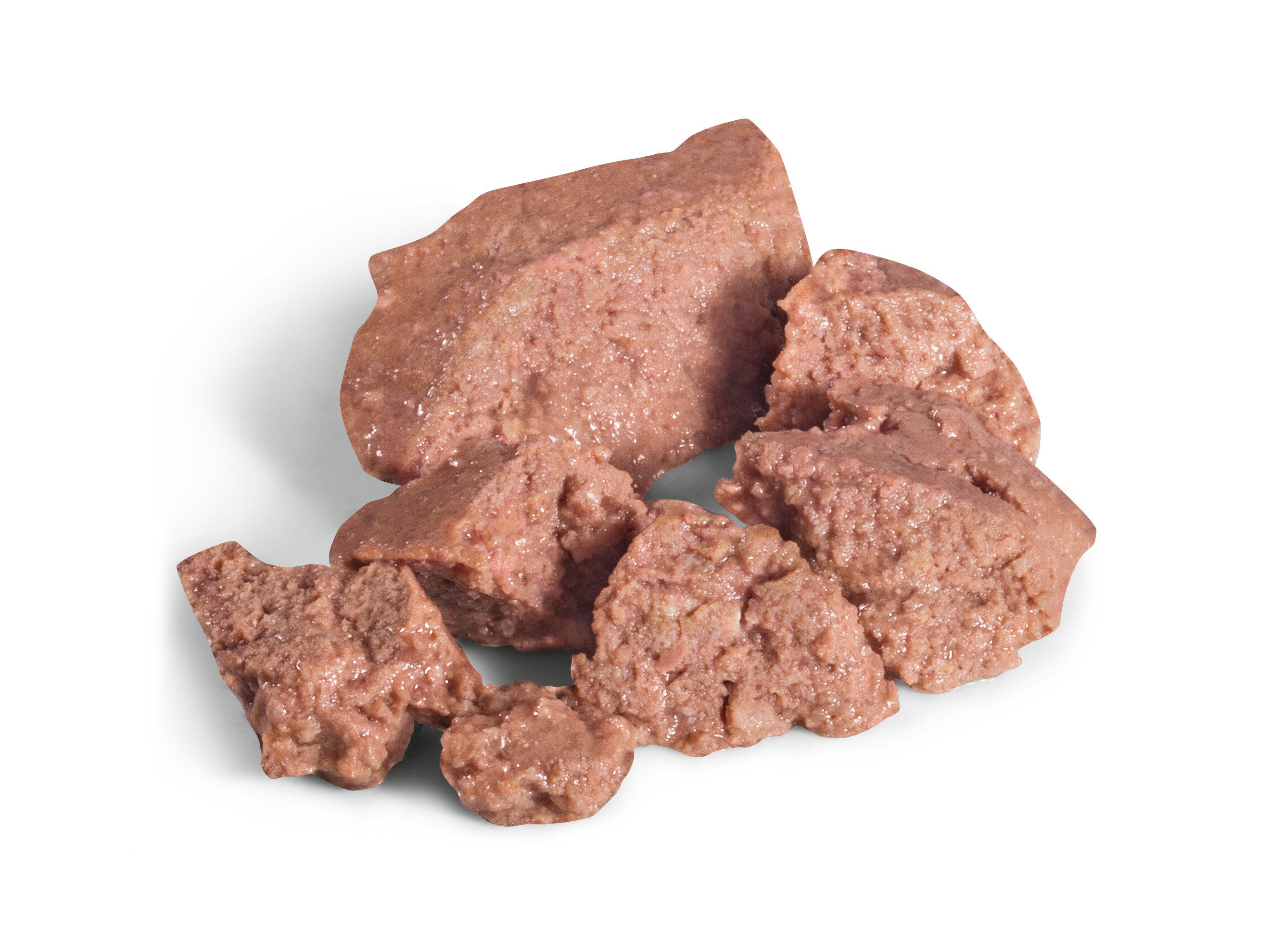 4 x 3oz Royal Canin Dachshund Adult Loaf in Sauce Canned Wet Dog Food UAE | 4917-WSDXM