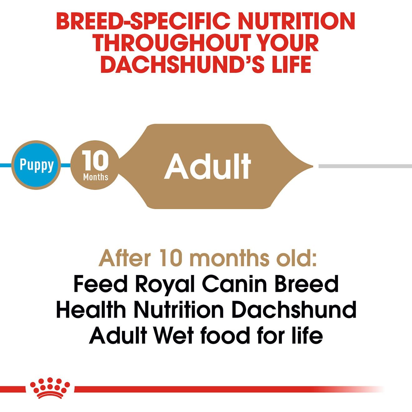 4 x 3oz Royal Canin Dachshund Adult Loaf in Sauce Canned Wet Dog Food UAE | 4917-WSDXM
