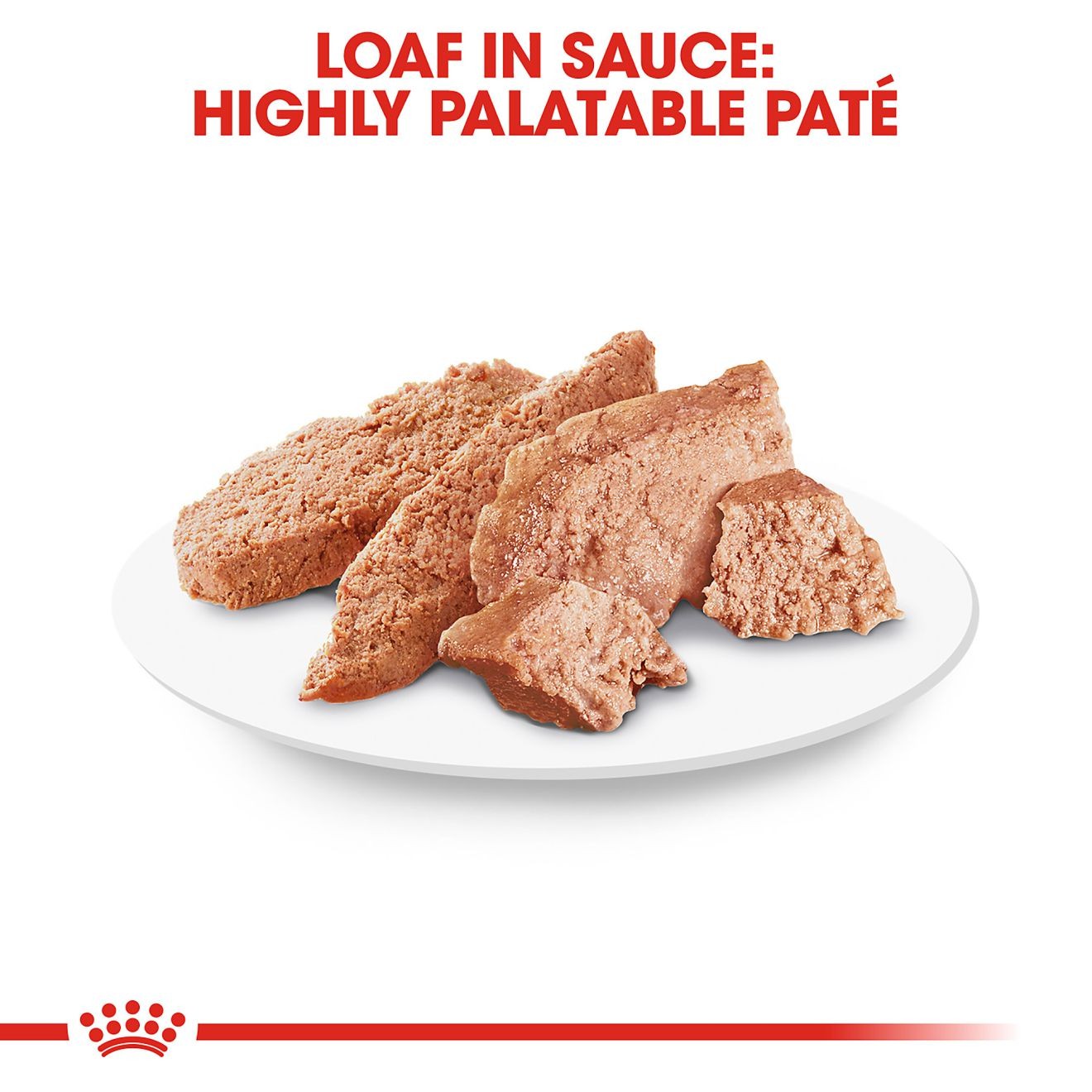 4 x 3oz Royal Canin Poodle Adult Loaf in Sauce Canned Wet Dog Food UAE | 4583-SPJMW