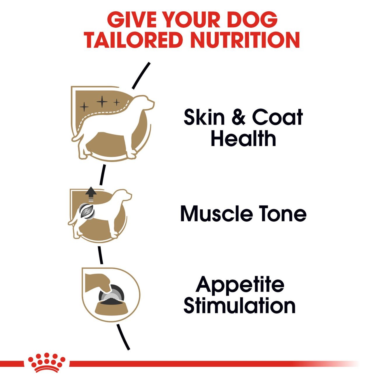 4 x 3oz Royal Canin Poodle Pouch Wet Dog Food UAE | 5896-WXBHT
