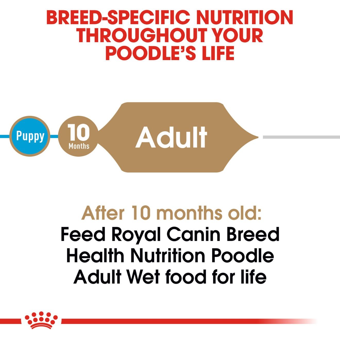 4 x 3oz Royal Canin Poodle Pouch Wet Dog Food UAE | 5896-WXBHT
