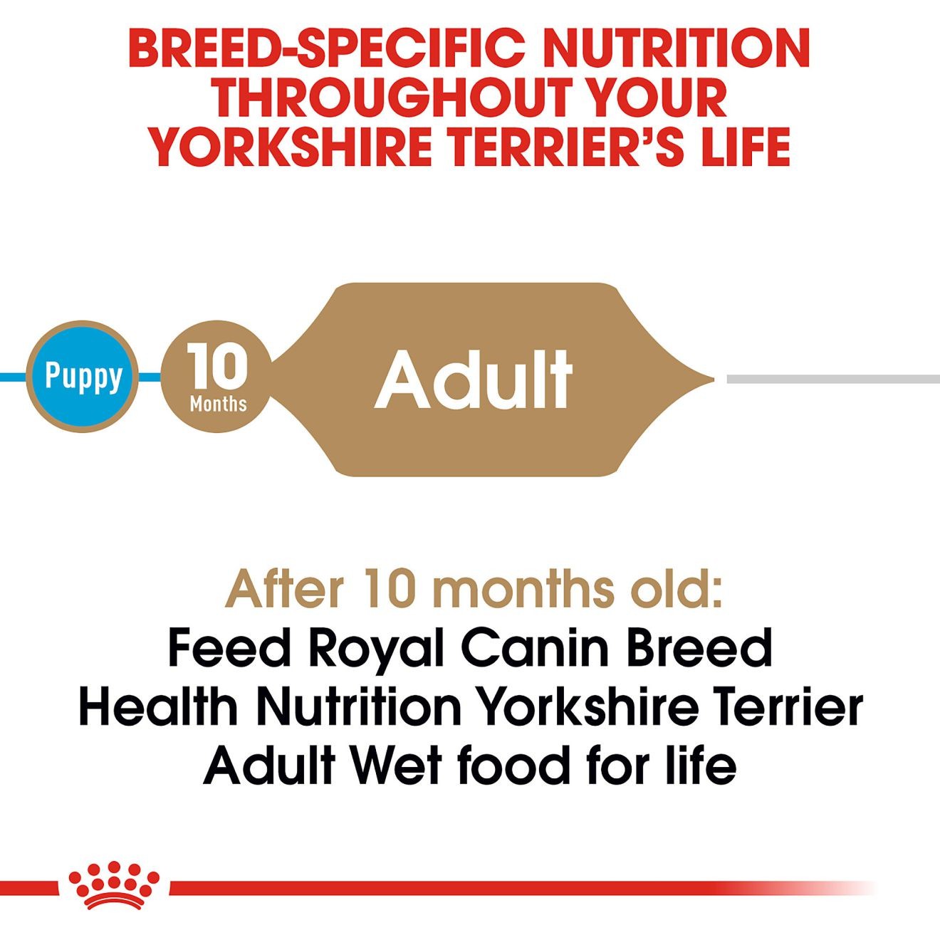4 x 3oz Royal Canin Yorkshire Terrier Adult Loaf in Sauce Canned Wet Dog Food UAE | 0518-GLQEN