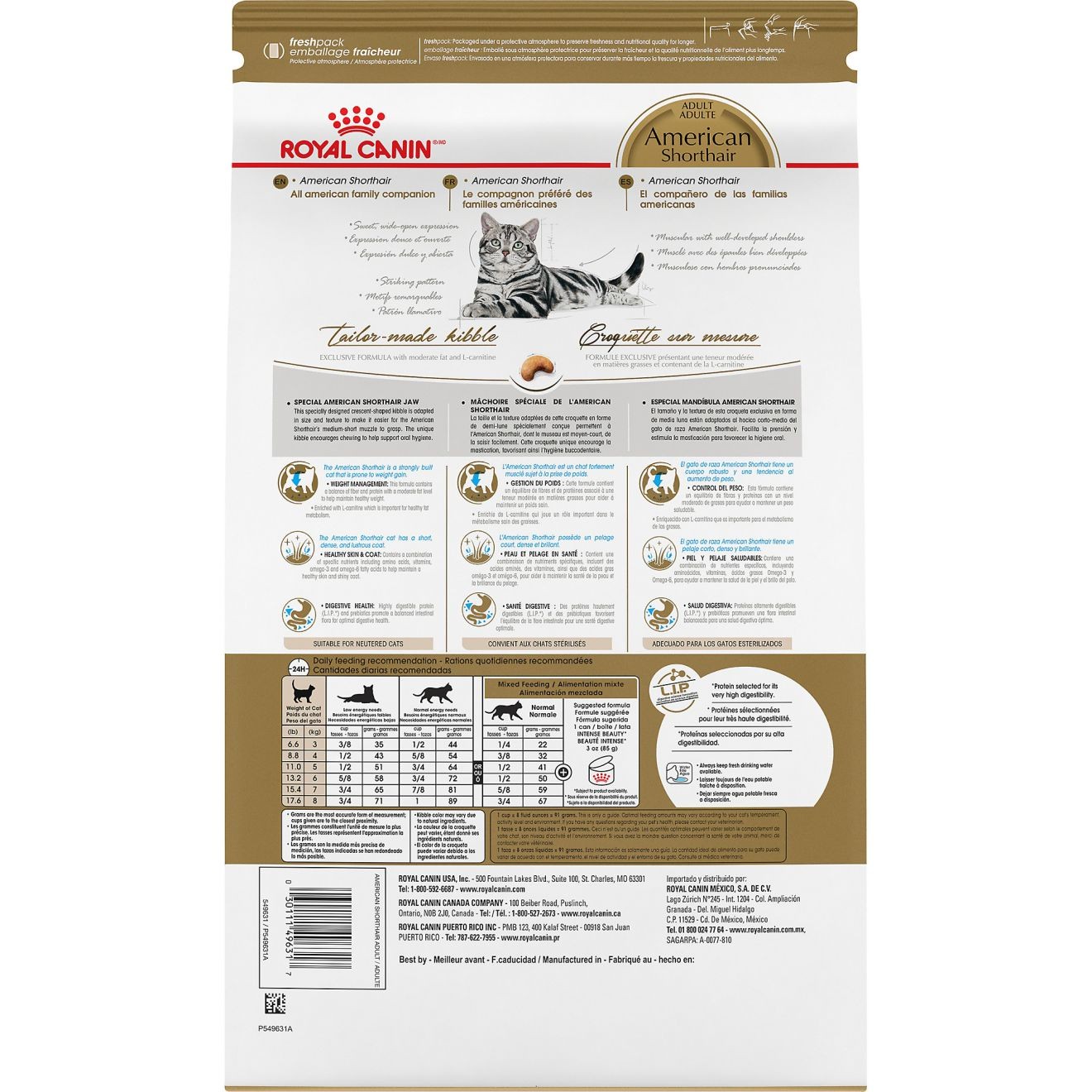 5.5lb Royal Canin American Shorthair Adult Dry Cat Food UAE | 5820-LHVPC