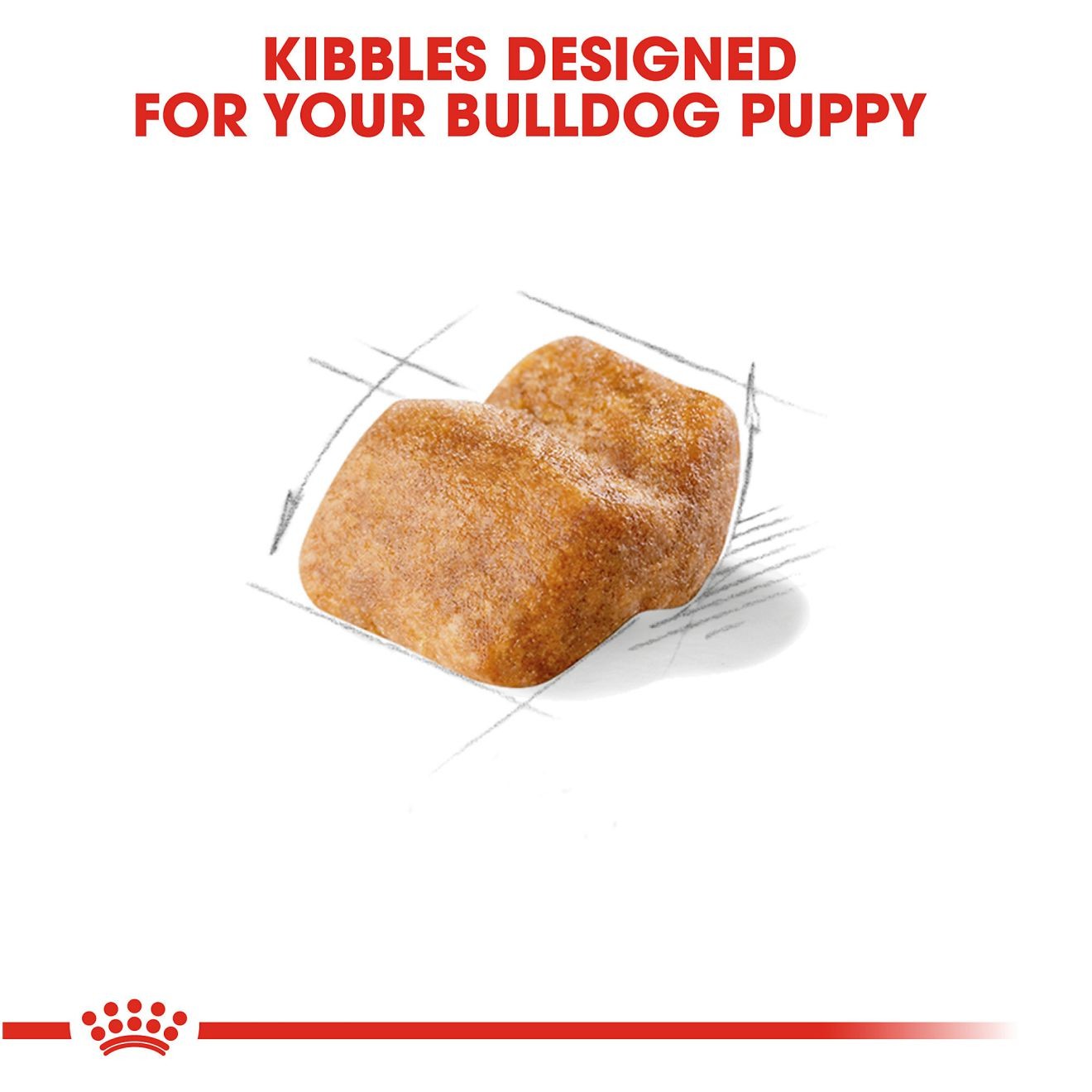 6lb Royal Canin Bulldog Puppy Dry Dog Food UAE | 0598-JUFIN