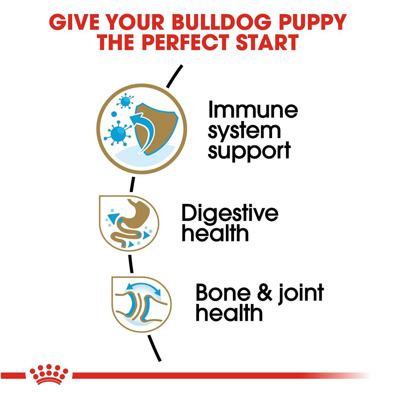 6lb Royal Canin Bulldog Puppy Dry Dog Food UAE | 0598-JUFIN