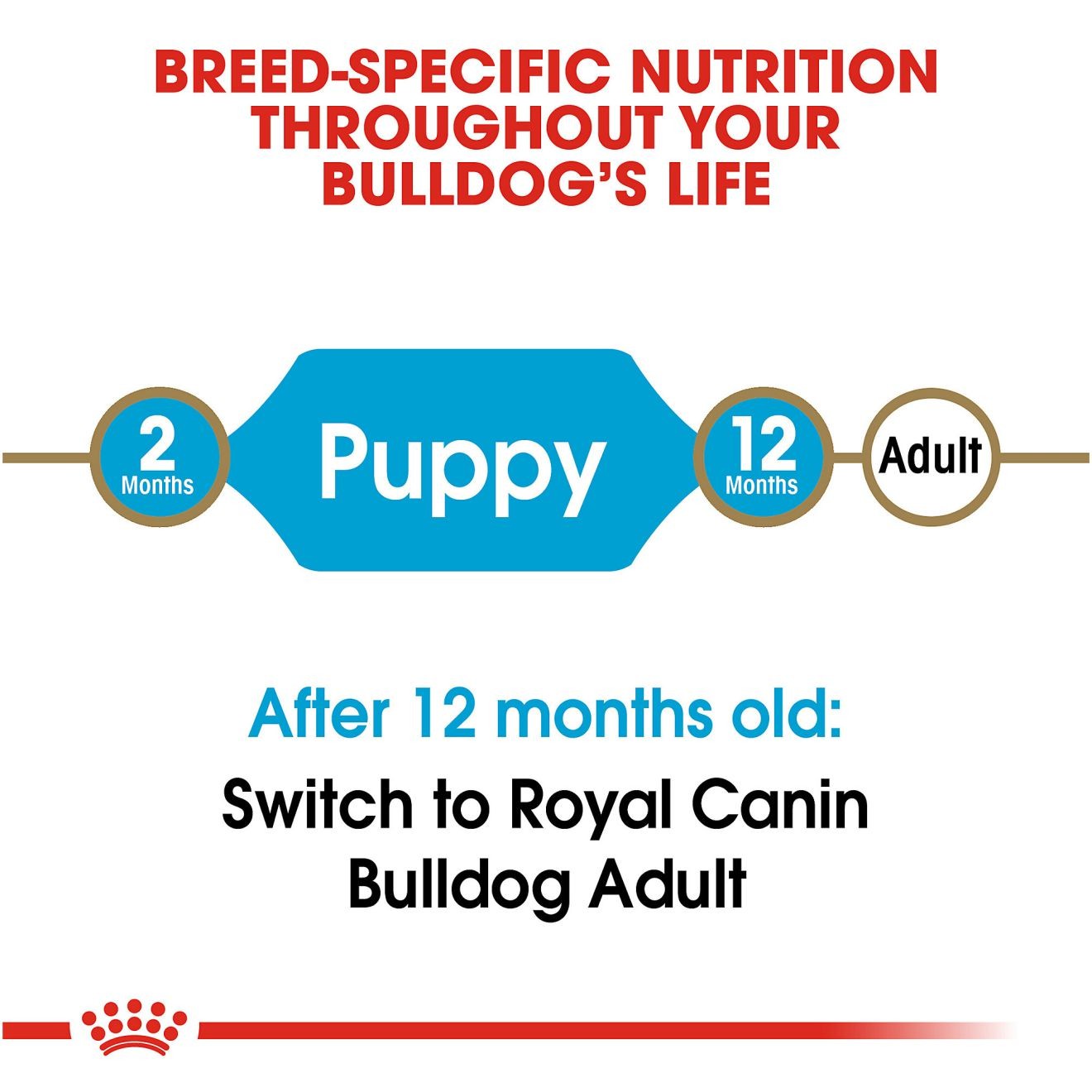 6lb Royal Canin Bulldog Puppy Dry Dog Food UAE | 0598-JUFIN
