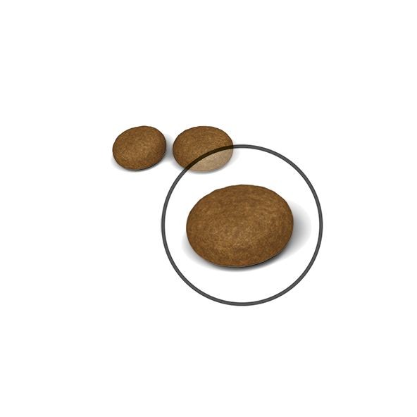 6lb Royal Canin Hair & Skin Care Dry Cat Food UAE | 8902-DIWYT
