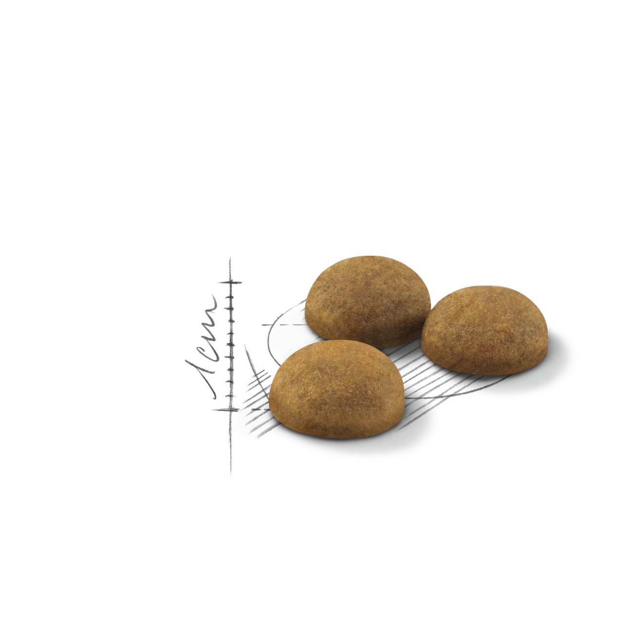 6lb Royal Canin Indoor Long Hair Dry Cat Food UAE | 9837-UMPAS