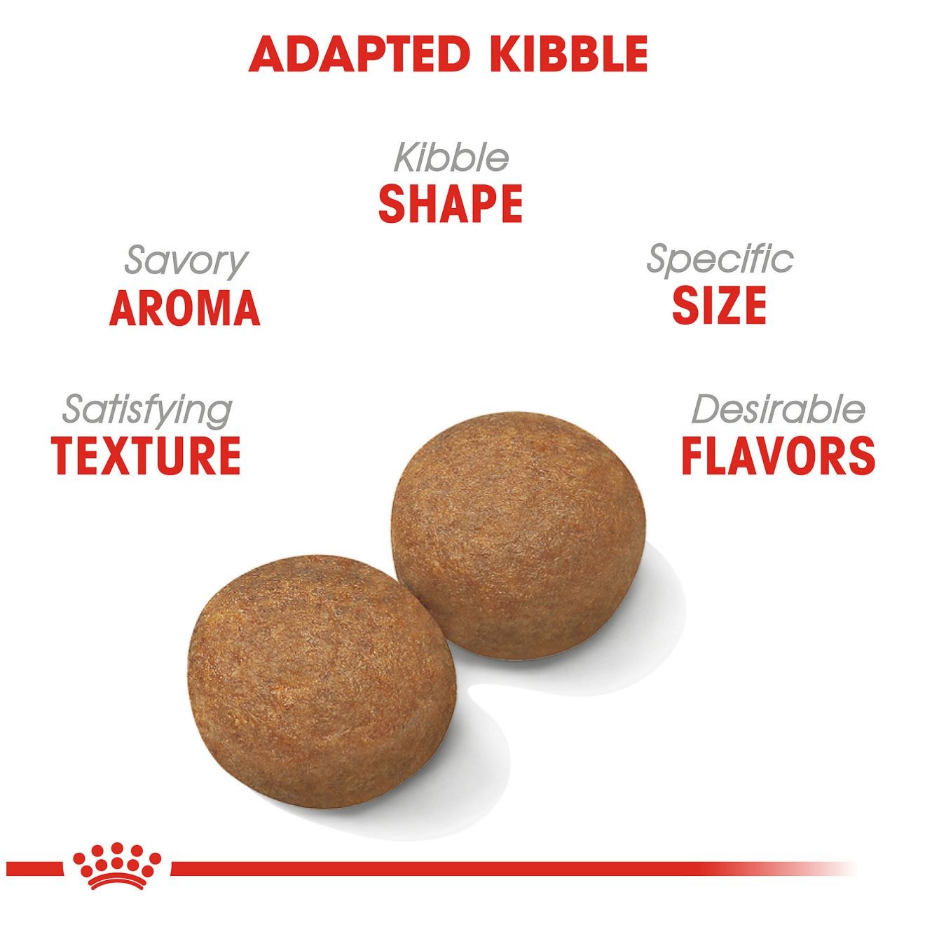 6lb Royal Canin Large Adult Dry Dog Food UAE | 3647-SXINU