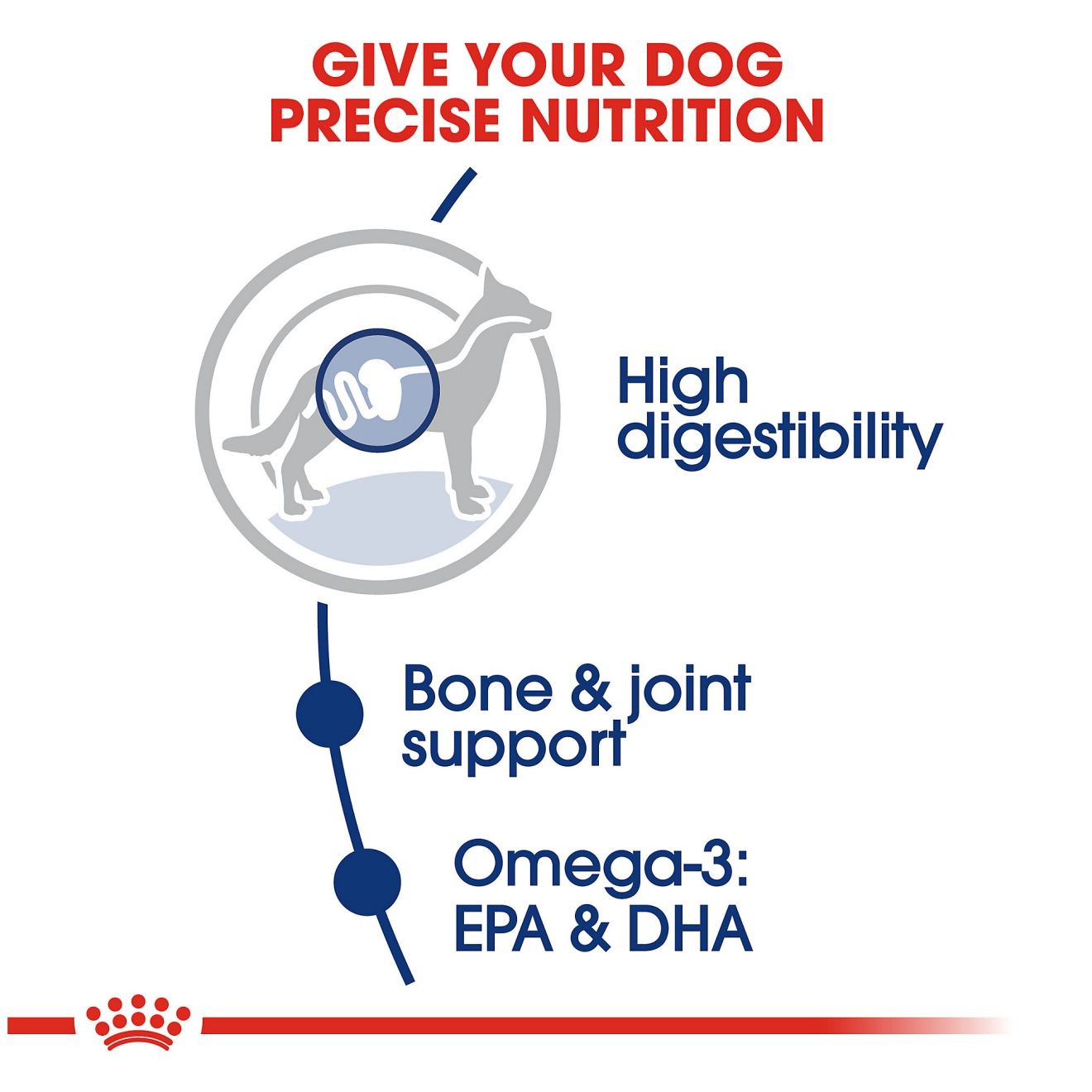 6lb Royal Canin Large Adult Dry Dog Food UAE | 3647-SXINU