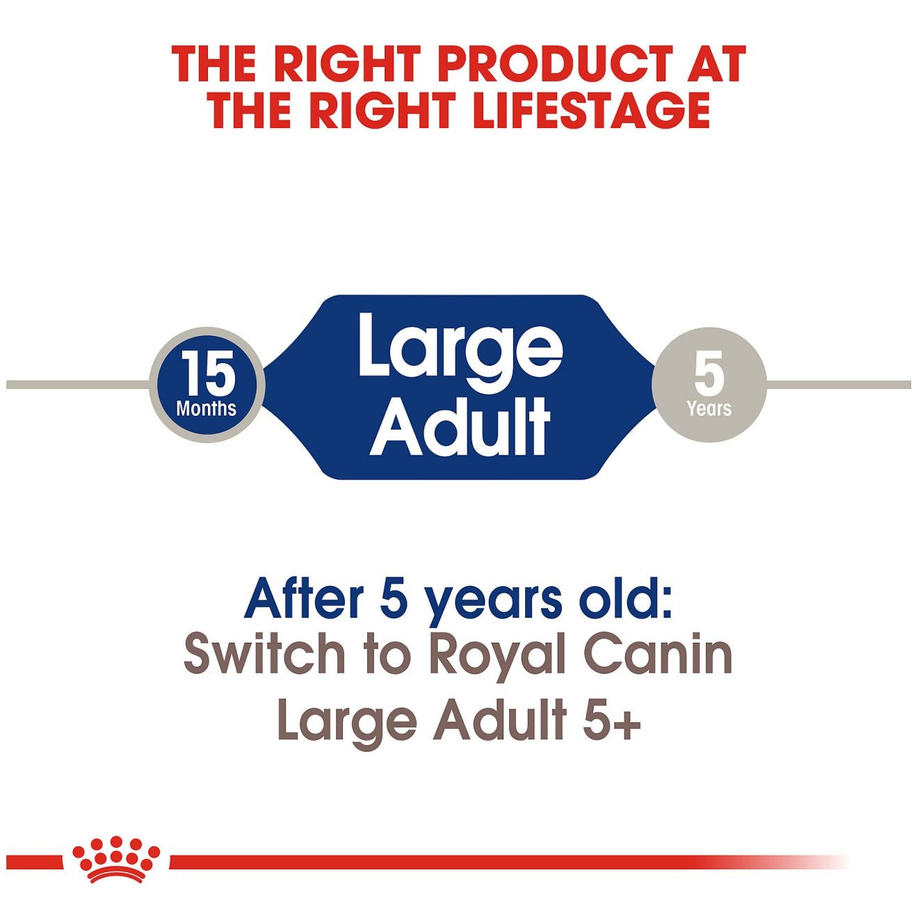 6lb Royal Canin Large Adult Dry Dog Food UAE | 3647-SXINU