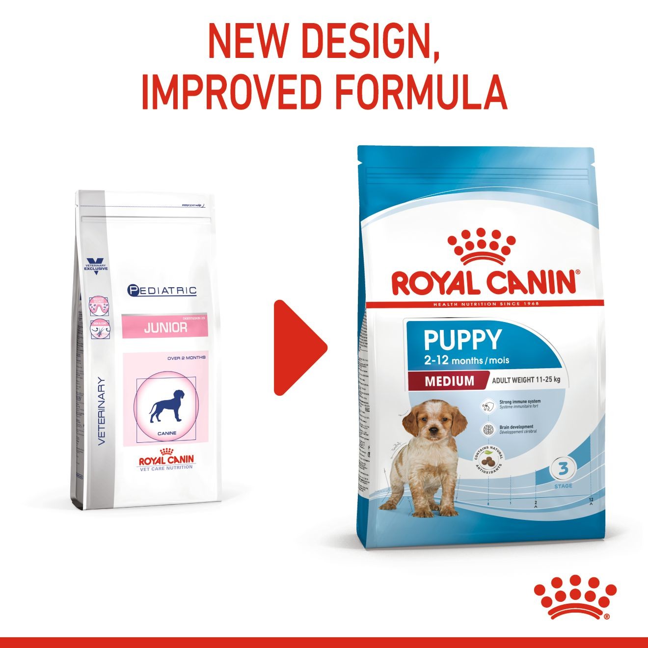 6lb Royal Canin Medium Puppy Dry Dog Food UAE | 4613-DLNMJ