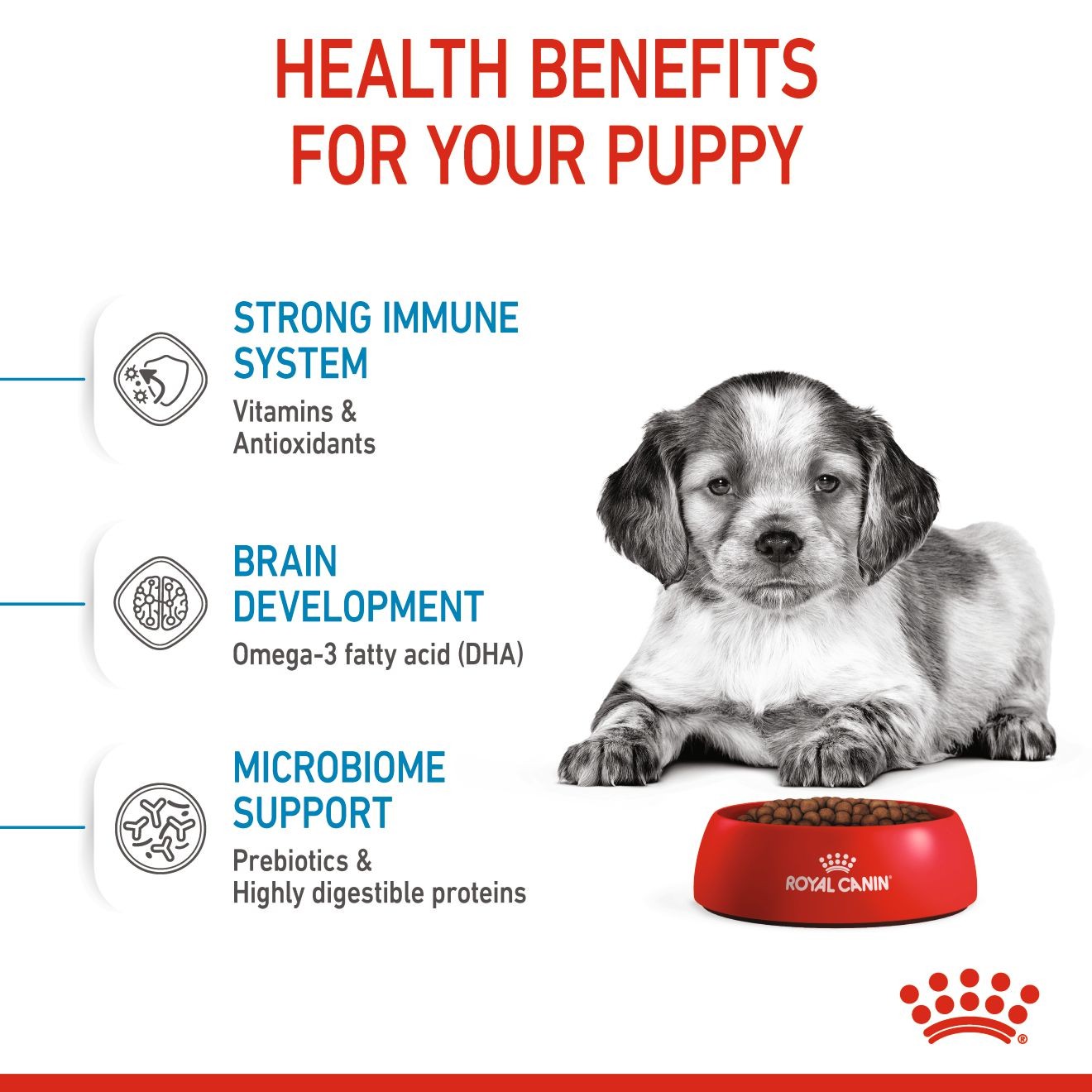 6lb Royal Canin Medium Puppy Dry Dog Food UAE | 4613-DLNMJ