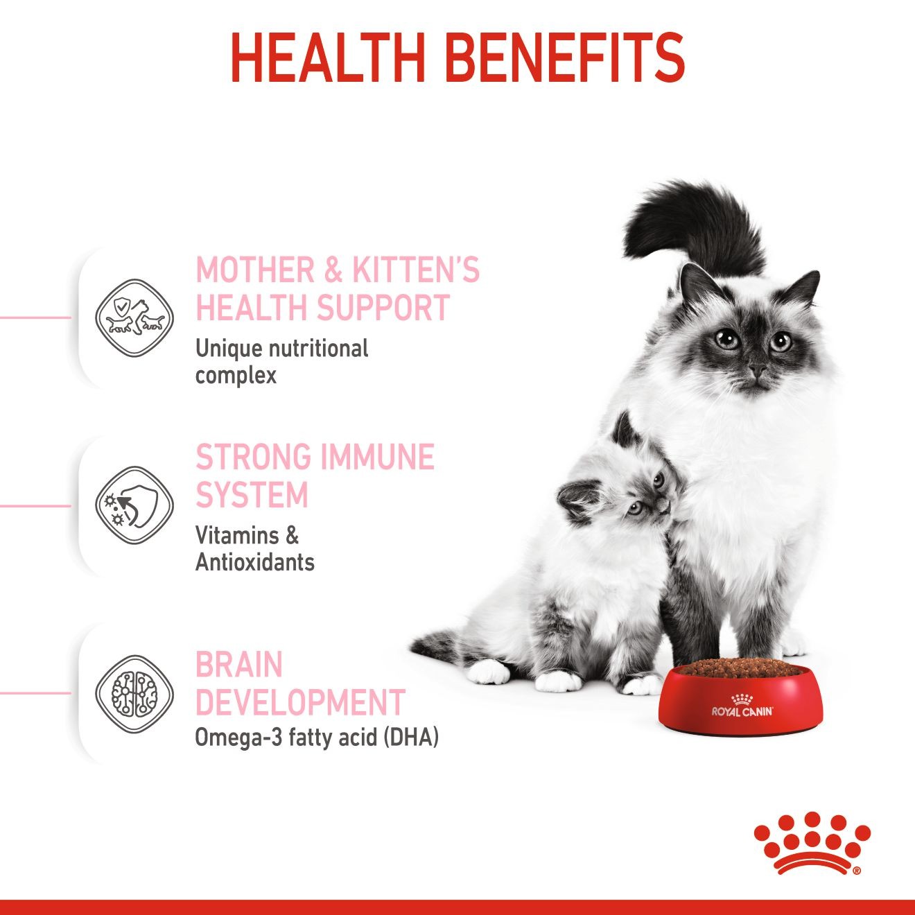 6lb Royal Canin Mother & Babycat Dry Cat Food UAE | 6704-YUTRE