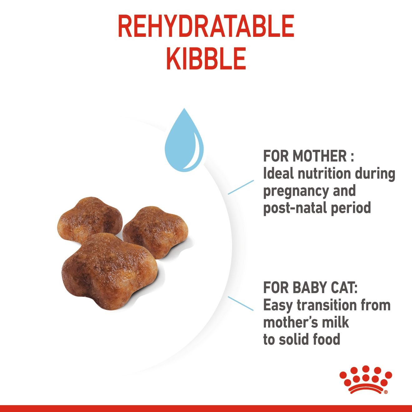 6lb Royal Canin Mother & Babycat Dry Cat Food UAE | 6704-YUTRE