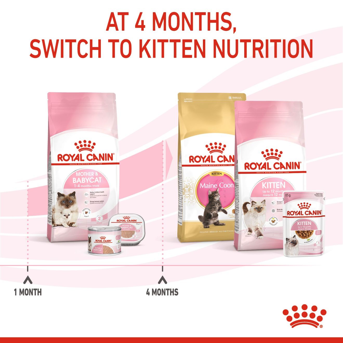 6lb Royal Canin Mother & Babycat Dry Cat Food UAE | 6704-YUTRE