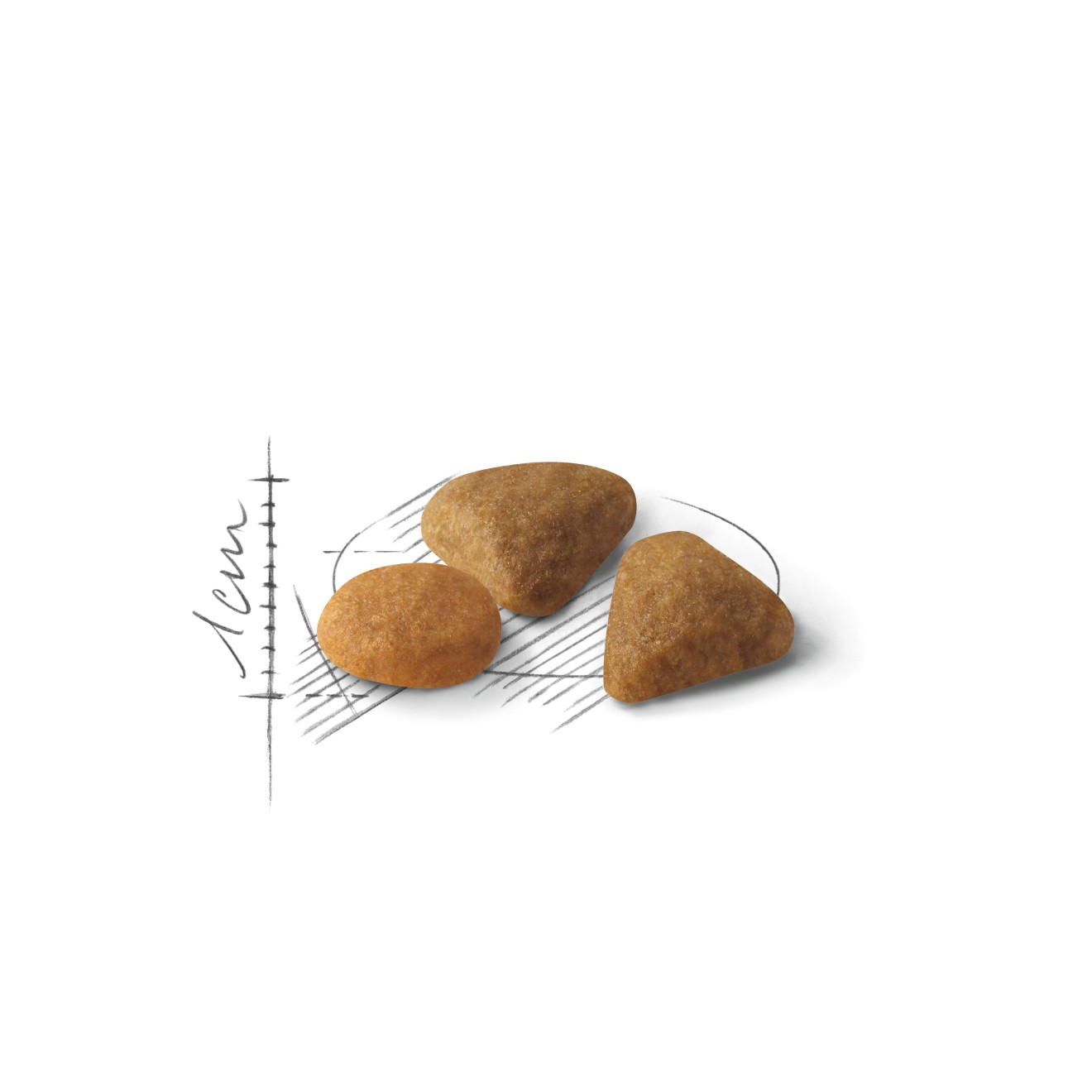6lb Royal Canin Savor Selective Dry Cat Food UAE | 0523-FAVZH