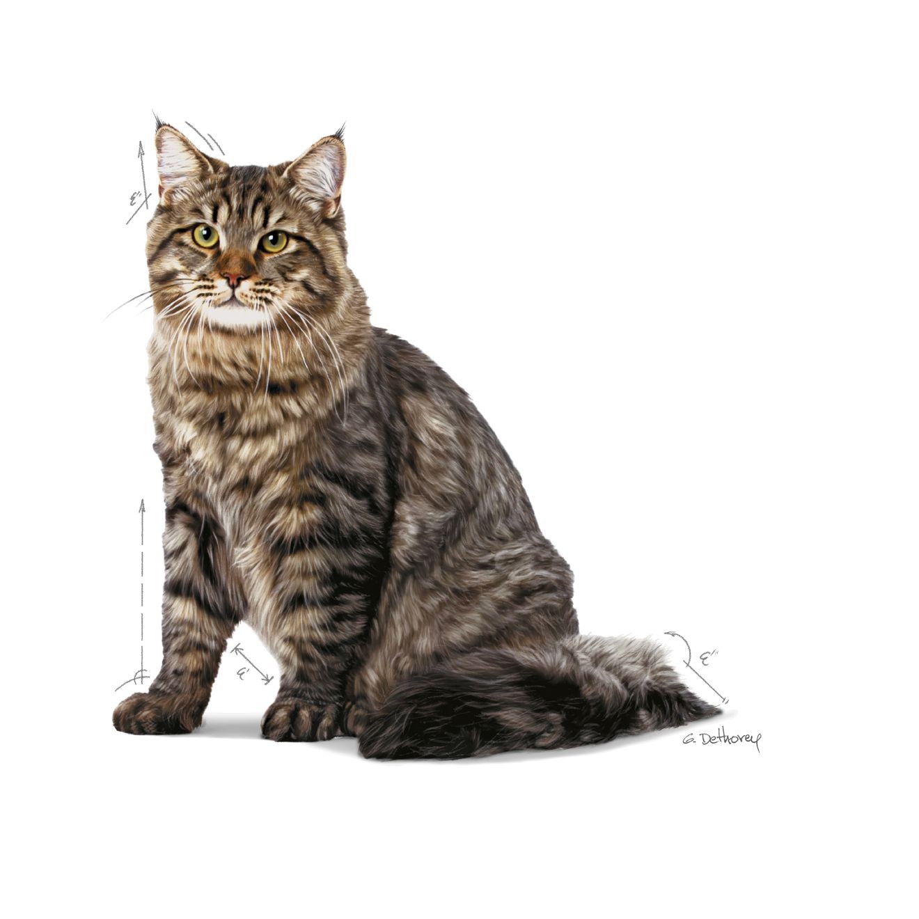 6lb Royal Canin Urinary Care Dry Cat Food UAE | 2416-RJHZS