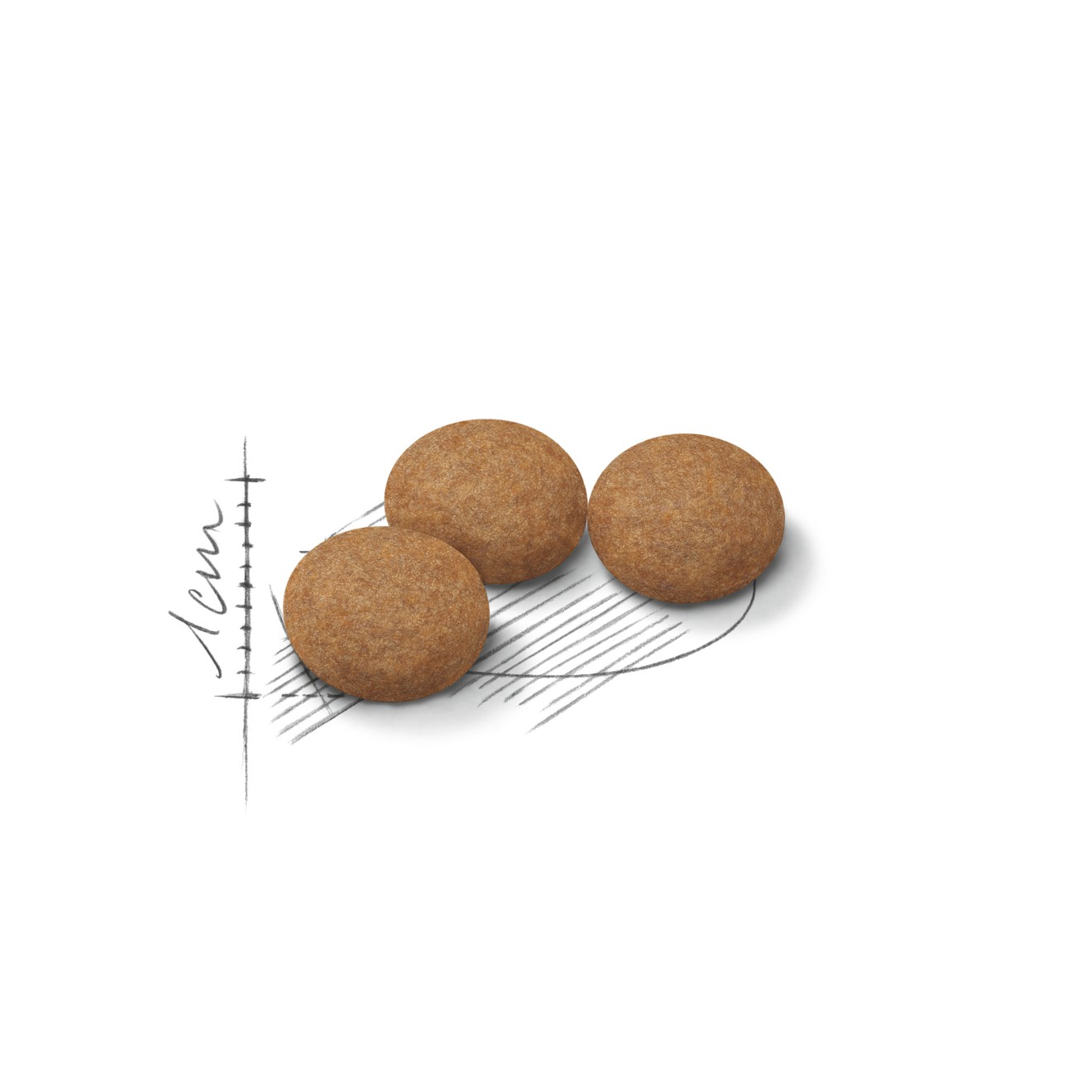7lb Royal Canin Aging Spayed / Neutered 12+ Dry Cat Food UAE | 4139-CURBO