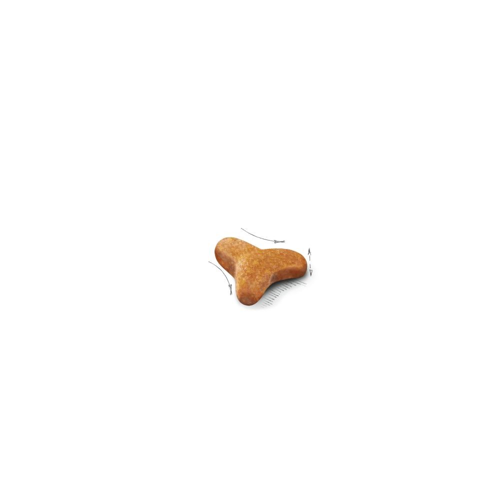 7lb Royal Canin Bengal Adult Dry Cat Food UAE | 2458-OWJCT