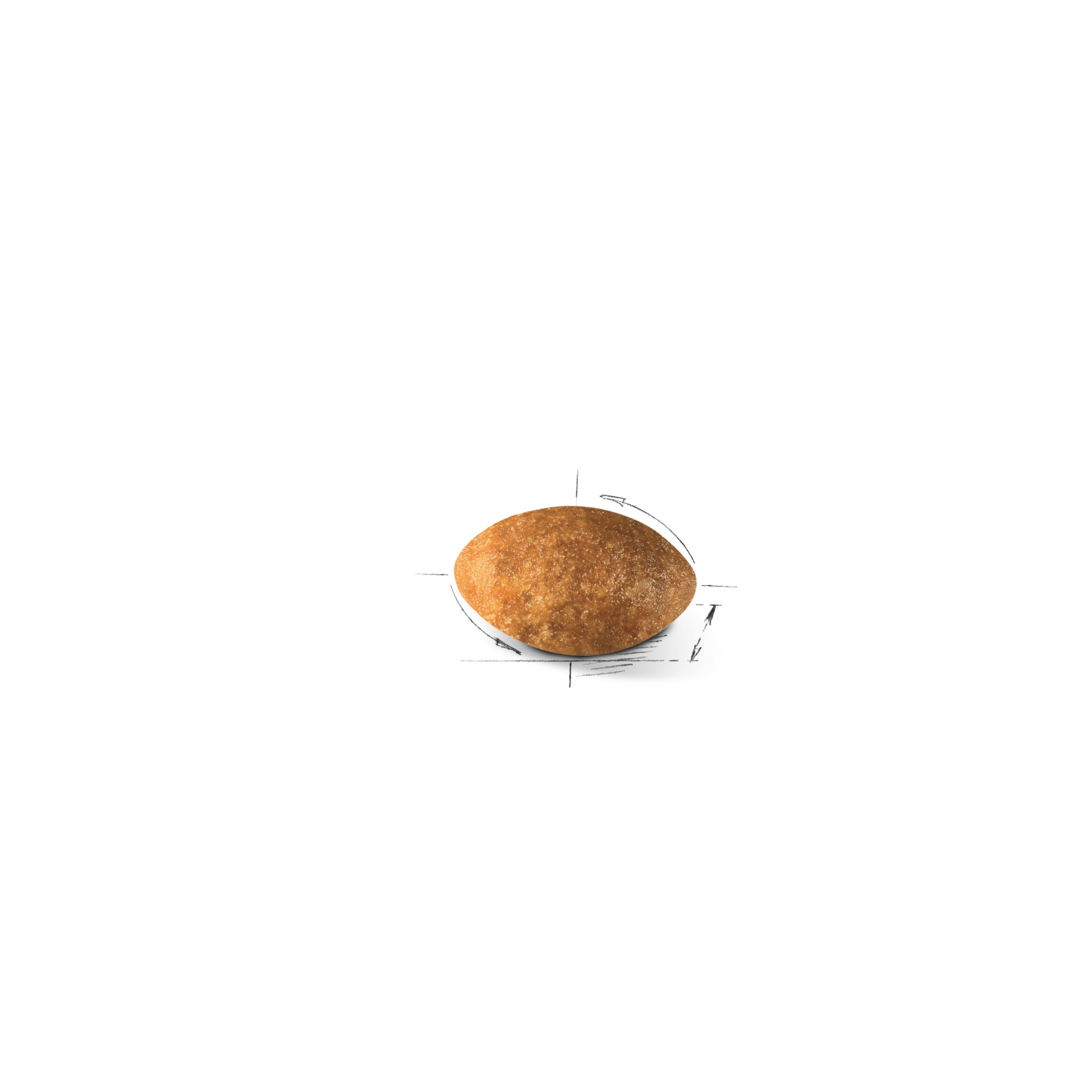7lb Royal Canin Persian Adult Dry Cat Food UAE | 4520-RQHEX