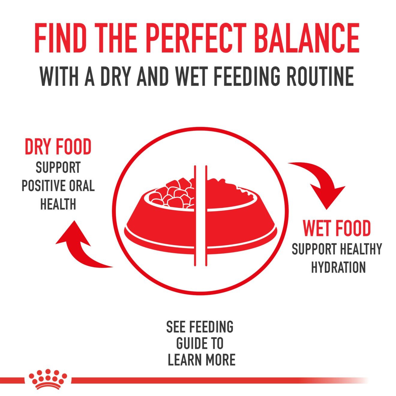 7lb Royal Canin Persian Adult Dry Cat Food UAE | 4520-RQHEX